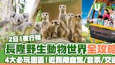 長隆野生動物世界2日1夜攻略！4大必玩園區/近距離自駕/套票優惠/交通 | U Travel 旅遊資訊網站