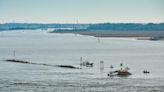 From a wind rose to a thermocline and an upwelling, the St. Johns River is moving right along