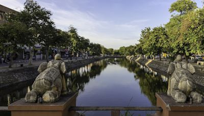 泰國清邁恐怖意外 大樹倒下砸中景點索橋 中國夫婦一死一傷