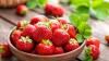 “ Ça change la vie !” : À mi-chemin entre la compote et le coulis de fraise, Vincent Ferniot partage sa recette parfaite pour accompagner de nombreux desserts !