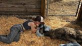 Emmanuel, the TikTok-famous emu, is sick with deadly avian flu, his caretaker says