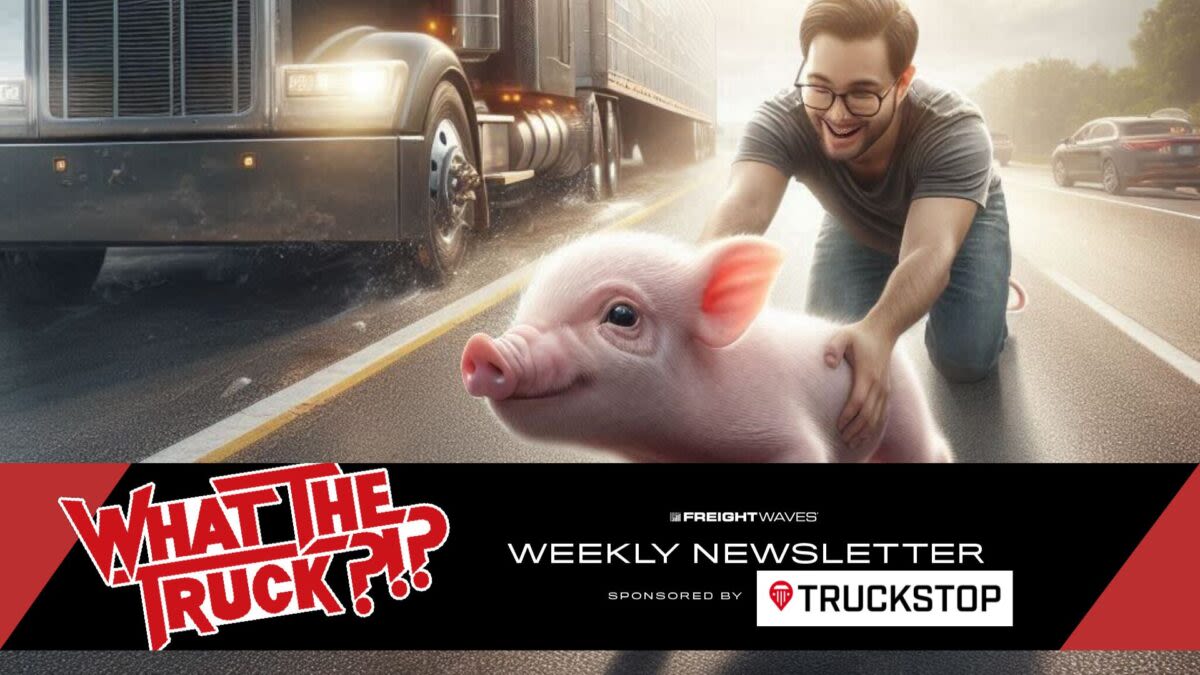 Lucky the Pig bounces back after fall from truck