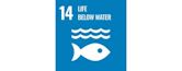 Sustainable Development Goal 14