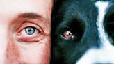 How Do Dogs See the World? A Veterinary Ophthalmologist Explains