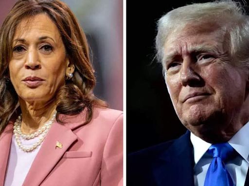 Kamala Harris leads Donald Trump in new poll after Biden dropout - The Economic Times