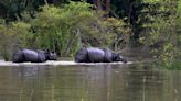 Rain batters northeast: 38 dead in Assam; rivers swell in Arunachal, Manipur