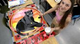 Gallery: Coconino art students put Panther Pride on display