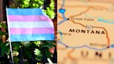 Montana Library Cancels Trans Woman's History Lecture Due to Anti-Drag Law