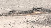City expects hundreds of potholes after heavy rains from kona low