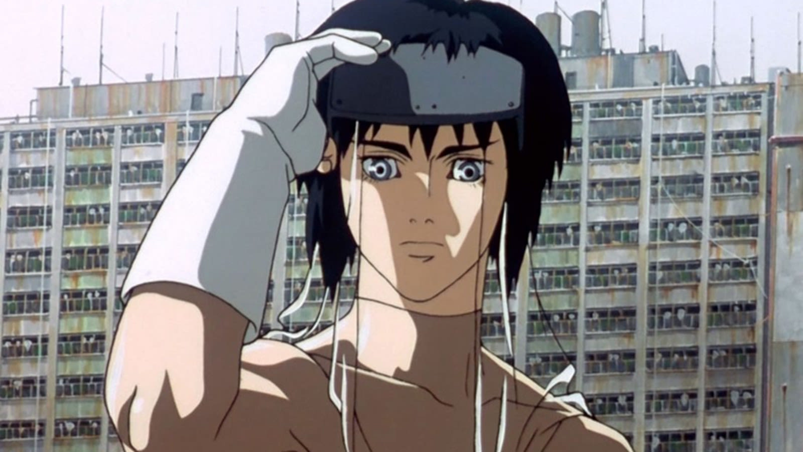 The Ghost in the Shell: Everything we know about Science SARU’s new anime - Dexerto