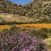 Goegap Nature Reserve