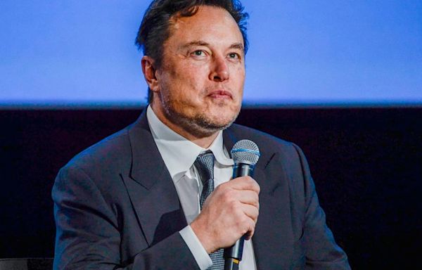 Fellow billionaires 'visibly winced' as Elon Musk went on conspiracy theory rant: report