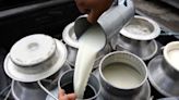 Oficial: el Gobierno extendió la suspensión de retenciones para productos lácteos por un año