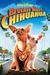 Le Chihuahua de Beverly Hills