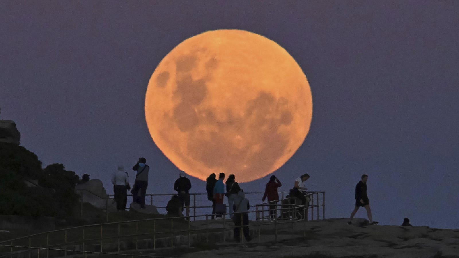 Meteors From Halley’s Comet As ‘Flower Moon’ Rises: May’s Night Sky