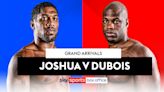 LIVE STREAM: Anthony Joshua vs Daniel Dubois grand arrivals