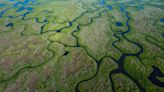 Fishing the Lost World of the Everglades, From the Archives