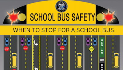 When must drivers stop for a school bus? Pedestrian in a crosswalk? Here are the laws