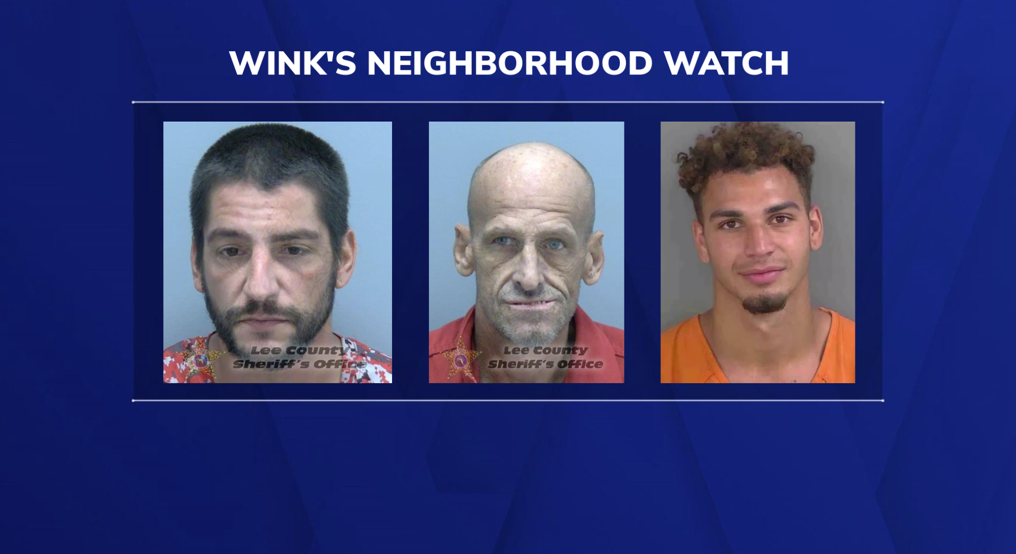 WINK Neighborhood Watch: Animal Abuse, Drugs, and Public sex