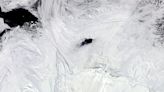 What’s Forming This Giant Hole in the Antarctic Sea Ice? Scientists Finally Know