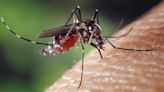 West Nile Virus detected in Michigan mosquitoes