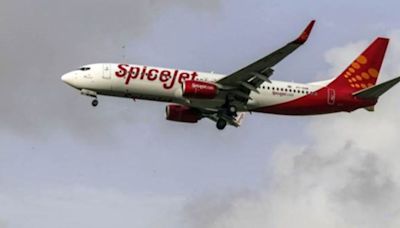 SpiceJet moves Delhi HC against order to return 2 leased aircraft and 3 engines by May 28