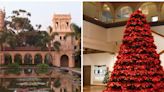 Disfruta la magia de la Navidad en Balboa Park con hermosa exhibición de nochebuenas