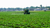 Milan No-Till Field Day Will Feature Presentation On Pesticide Restrictions