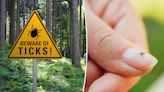 Tick season is kicking off early this year — experts warn of Lyme disease risk
