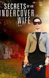 Secrets of an Undercover Wife