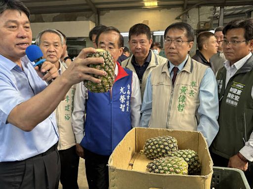 台灣鳳梨外銷紐西蘭 台南搶頭香啟運250箱