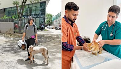 A dog and a cat walk into a hospital