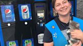 Walmart Employee Takes Home Kitten She Found Inside Vending Machine