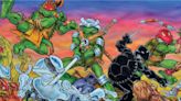 TMNT Celebrates 40th Anniversary With Expanded Visual History