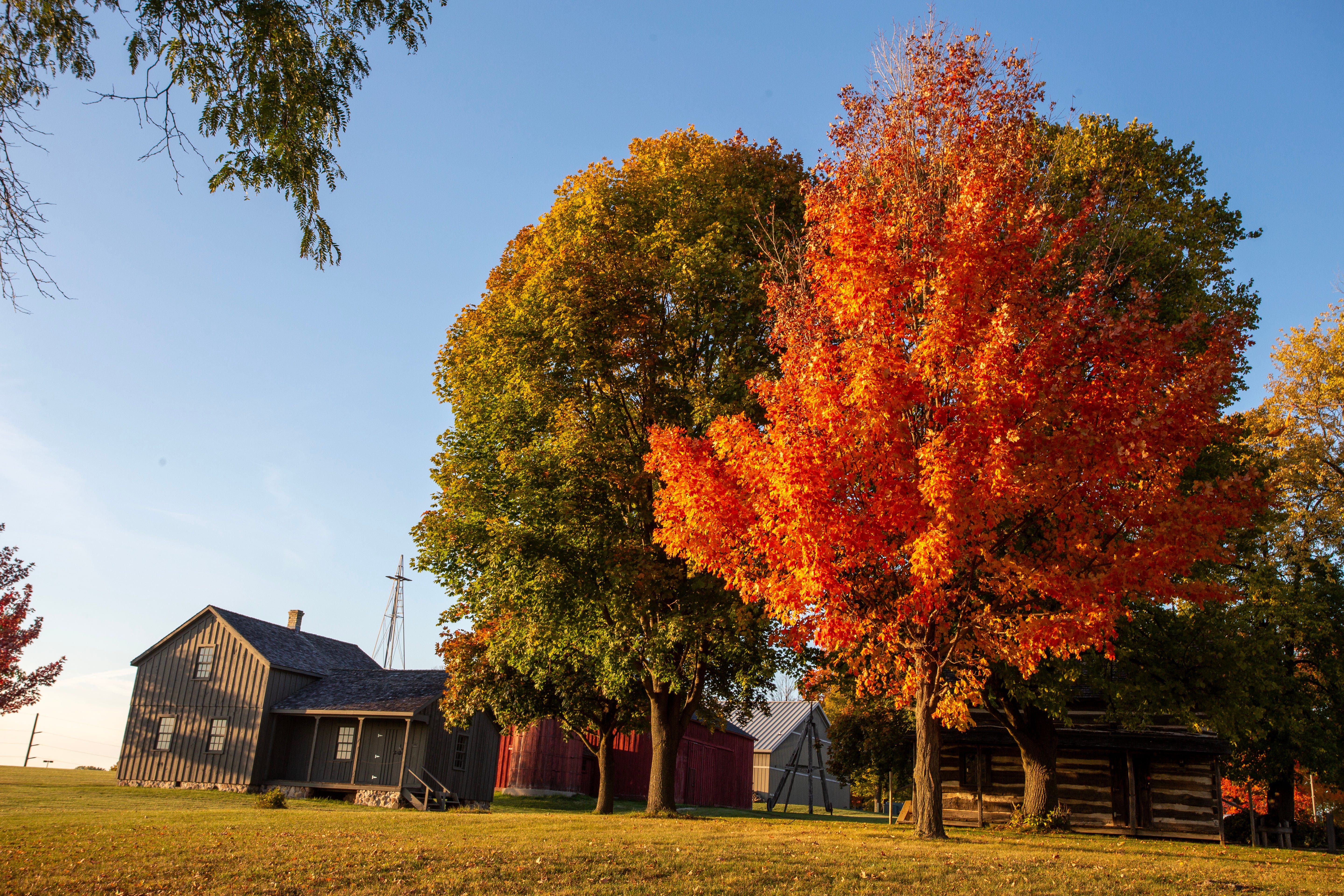 Here's when can you expect peak fall color in Sheboygan County