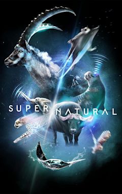 Super/Natural