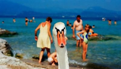 Sirmione beach, la mostra fotografica di Martin Parr sul Garda