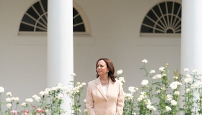 Kamala Harris: the Gen Z-friendly VP who could become America's first female president