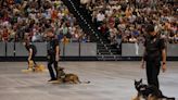 Jornada de puertas abiertas de la Policía Foral en el Navarra Arena