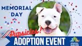 Find a furever family member this Memorial Day at Lake County’s ‘Pupsicles’ adoption event