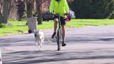 A paws-on review of the new Bike Tow Leash