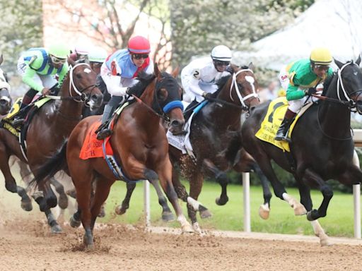 Kentucky Derby winner still a "maybe" for Preakness - UPI.com