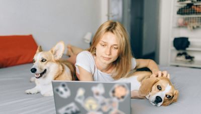 貓派還是狗派？超準動物心理測驗幫你挑出幸福伴侶