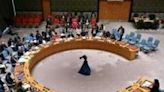 UN Security Council demands end to Darfur city's siege