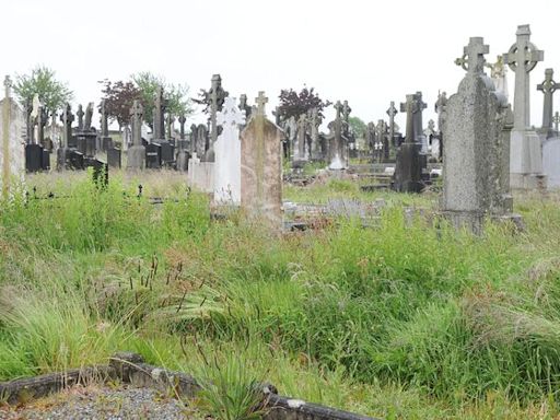 Dundalk councillors call for action on overgrown graveyard