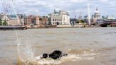 London weather: Four-day health alert triggered as 30C heatwave begins