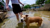 What’s a heat dome? Here’s why Pennsylvania is broiling this week