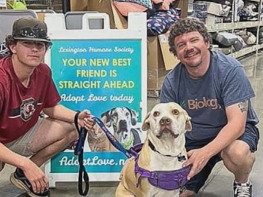 Wrong ‘Lexington’ leads to right family for shelter dog