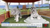 El Museo del Niño estrena el “Safari Trip”