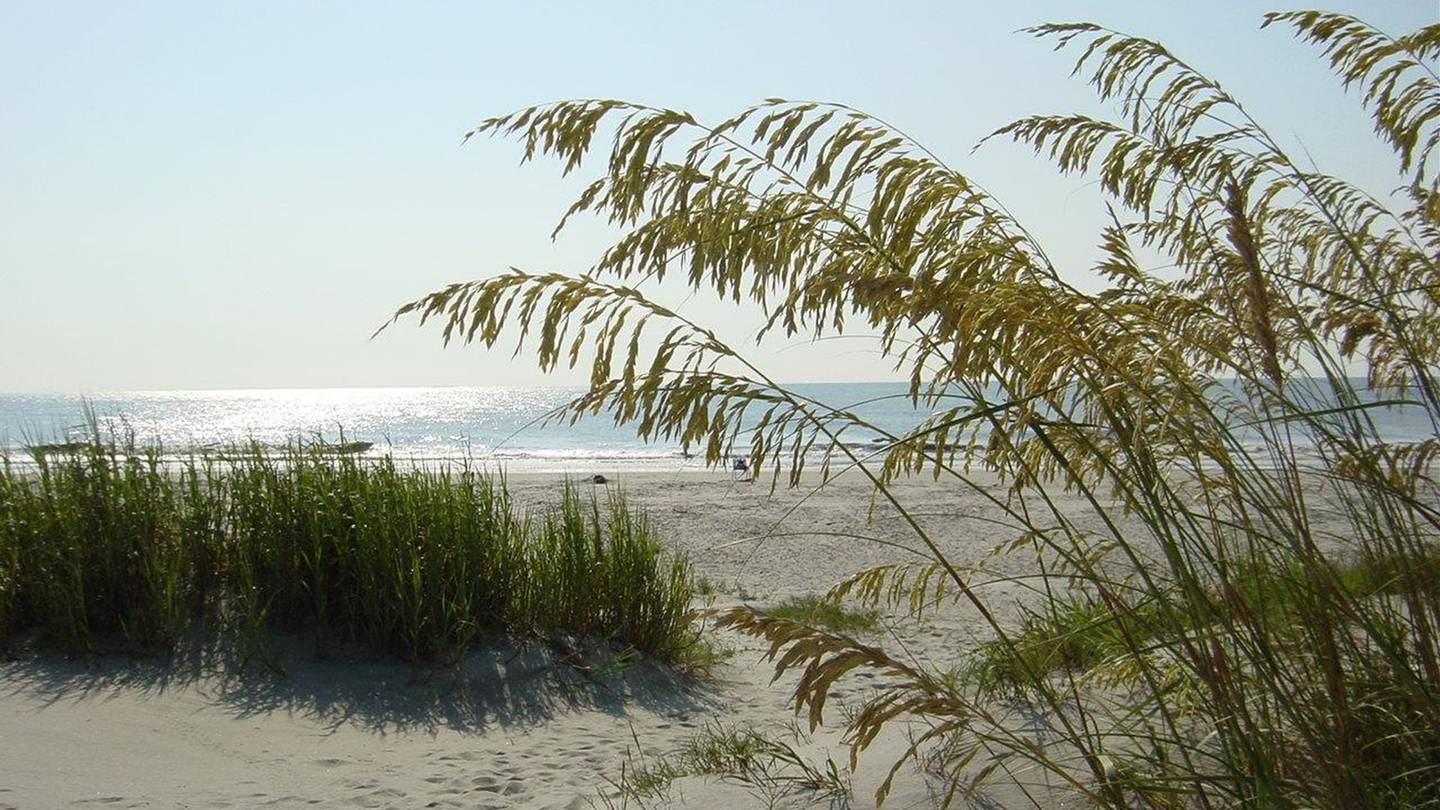 Georgia beach makes Travel + Leisure's list of top 25 beaches in U.S. for 2024
